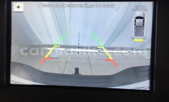 Tenga Tsaru Ford Ranger Chena Mota in Harare in Harare Tenga Tsaru Ford Ranger Chena Mota in Harare in Harare