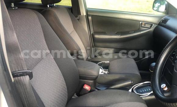 Acheter Occasion Voiture Toyota Runx Gris à Bulawayo, Bulawayo Acheter Occasion Voiture Toyota Runx Gris à Bulawayo, Bulawayo