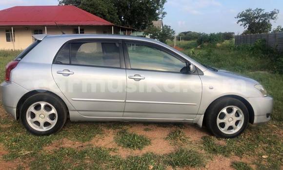 Acheter Occasion Voiture Toyota Runx Gris à Bulawayo, Bulawayo Acheter Occasion Voiture Toyota Runx Gris à Bulawayo, Bulawayo