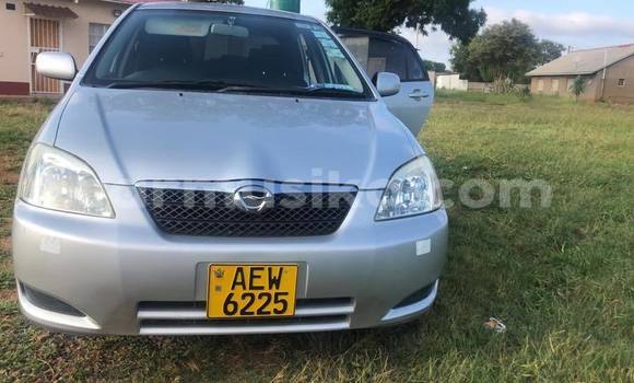 Acheter Occasion Voiture Toyota Runx Gris à Bulawayo, Bulawayo Acheter Occasion Voiture Toyota Runx Gris à Bulawayo, Bulawayo