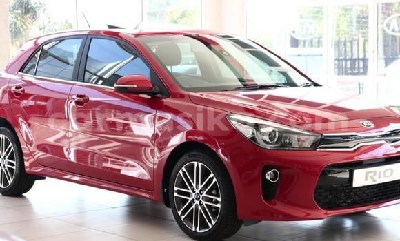 Nunua Ilio tumika Kia Rio Nyekundu Gari ndani ya Beitbridge nchini Matabeleland Kusini Nunua Ilio tumika Kia Rio Nyekundu Gari ndani ya Beitbridge nchini Matabeleland Kusini