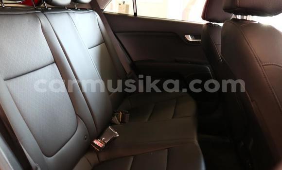 Tenga Tsaru Kia Rio Tsvuku Mota in Beitbridge in Matabeleland South Tenga Tsaru Kia Rio Tsvuku Mota in Beitbridge in Matabeleland South