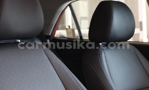 Tenga Tsaru Kia Rio Tsvuku Mota in Beitbridge in Matabeleland South Tenga Tsaru Kia Rio Tsvuku Mota in Beitbridge in Matabeleland South