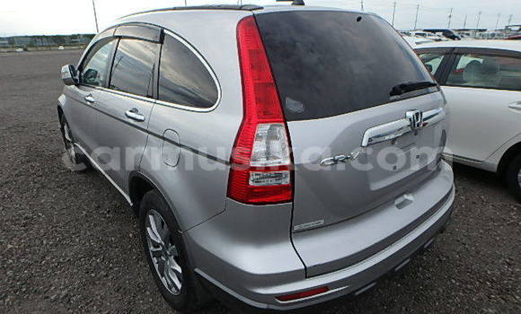Acheter Occasion Voiture Honda CR–V Gris à Beitbridge, Matabeleland South Acheter Occasion Voiture Honda CR–V Gris à Beitbridge, Matabeleland South