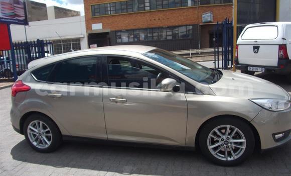 Acheter Occasion Voiture Ford Focus Gris à Beitbridge, Matabeleland South Acheter Occasion Voiture Ford Focus Gris à Beitbridge, Matabeleland South