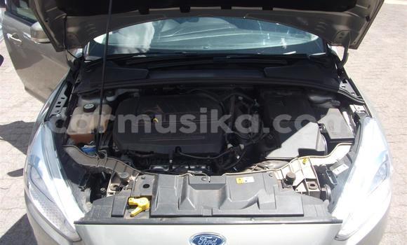 Acheter Occasion Voiture Ford Focus Gris à Beitbridge, Matabeleland South Acheter Occasion Voiture Ford Focus Gris à Beitbridge, Matabeleland South