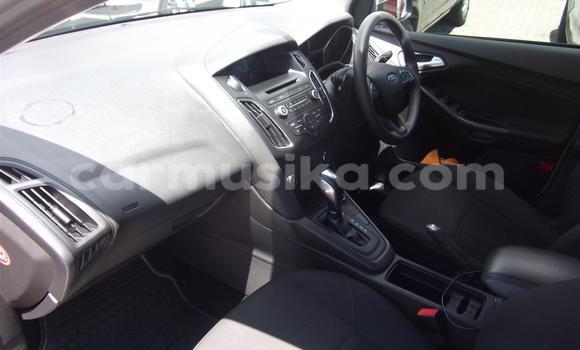 Acheter Occasion Voiture Ford Focus Gris à Beitbridge, Matabeleland South Acheter Occasion Voiture Ford Focus Gris à Beitbridge, Matabeleland South