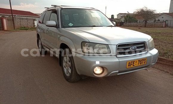 Buy Used Subaru Forester Silver Car in Harare in Harare