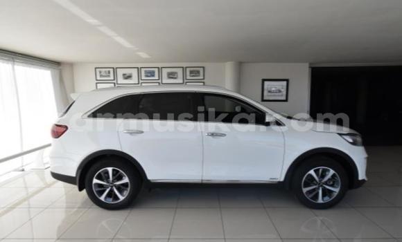 Nunua Ilio tumika Kia Sorento Nyeupe Gari ndani ya Beitbridge nchini Matabeleland Kusini Nunua Ilio tumika Kia Sorento Nyeupe Gari ndani ya Beitbridge nchini Matabeleland Kusini