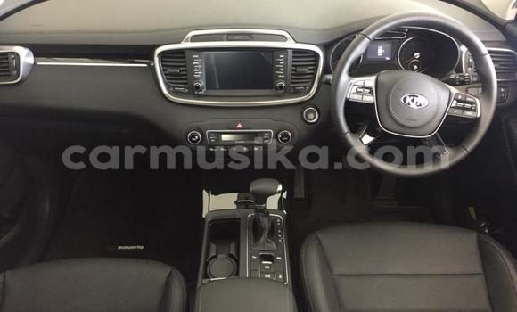 Nunua Ilio tumika Kia Sorento Nyeupe Gari ndani ya Beitbridge nchini Matabeleland Kusini Nunua Ilio tumika Kia Sorento Nyeupe Gari ndani ya Beitbridge nchini Matabeleland Kusini