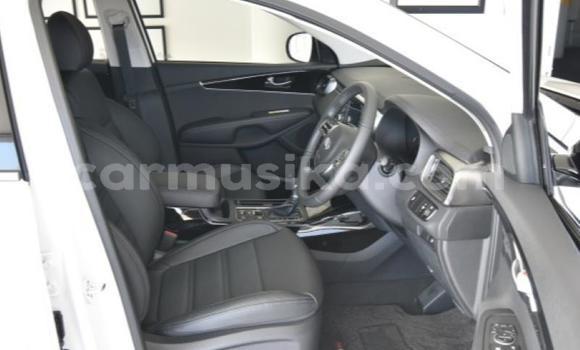 Nunua Ilio tumika Kia Sorento Nyeupe Gari ndani ya Beitbridge nchini Matabeleland Kusini Nunua Ilio tumika Kia Sorento Nyeupe Gari ndani ya Beitbridge nchini Matabeleland Kusini