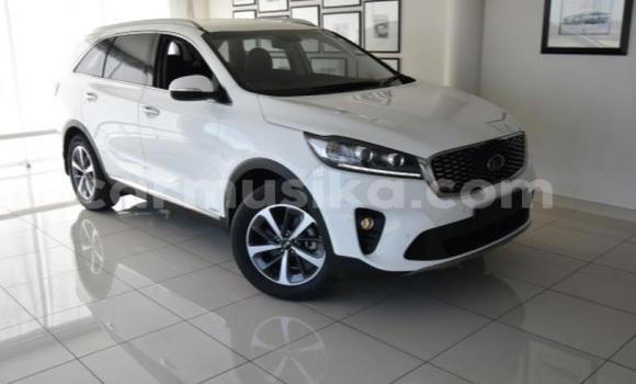 Nunua Ilio tumika Kia Sorento Nyeupe Gari ndani ya Beitbridge nchini Matabeleland Kusini Nunua Ilio tumika Kia Sorento Nyeupe Gari ndani ya Beitbridge nchini Matabeleland Kusini
