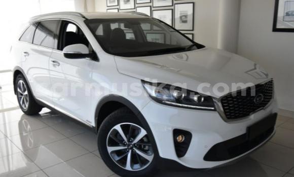 Nunua Ilio tumika Kia Sorento Nyeupe Gari ndani ya Beitbridge nchini Matabeleland Kusini Nunua Ilio tumika Kia Sorento Nyeupe Gari ndani ya Beitbridge nchini Matabeleland Kusini