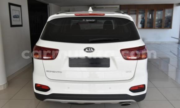 Nunua Ilio tumika Kia Sorento Nyeupe Gari ndani ya Beitbridge nchini Matabeleland Kusini Nunua Ilio tumika Kia Sorento Nyeupe Gari ndani ya Beitbridge nchini Matabeleland Kusini