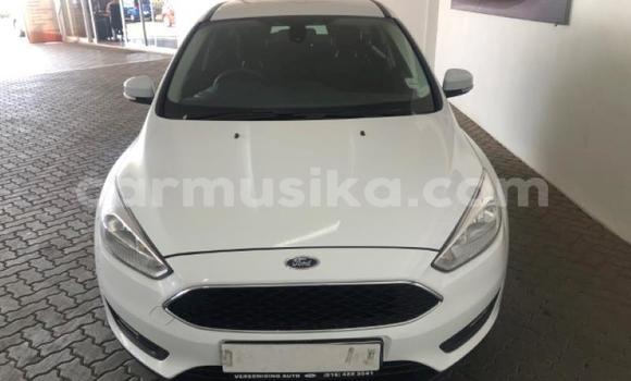 Buy Used Ford Focus White Car in Beitbridge in Matabeleland South