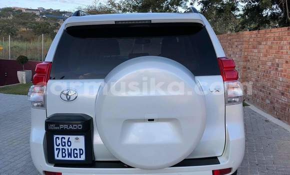 Buy Used Toyota Land Cruiser Prado White Car in Beitbridge in Matabeleland South Buy Used Toyota Land Cruiser Prado White Car in Beitbridge in Matabeleland South