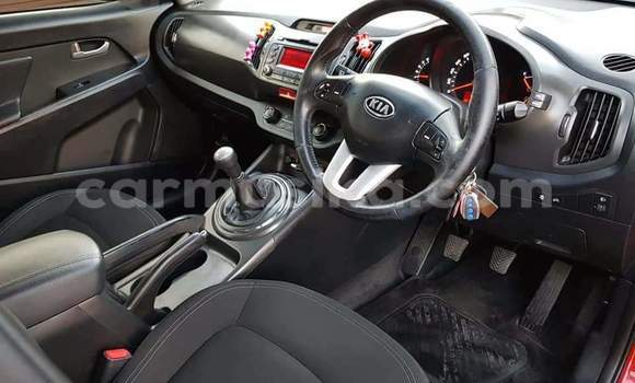 Buy Used Kia Sportage Red Car in Beitbridge in Matabeleland South Buy Used Kia Sportage Red Car in Beitbridge in Matabeleland South