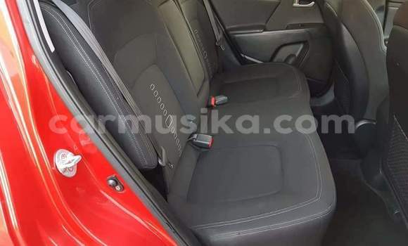 Buy Used Kia Sportage Red Car in Beitbridge in Matabeleland South Buy Used Kia Sportage Red Car in Beitbridge in Matabeleland South