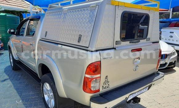 Buy Used Toyota Hilux Silver Car in Beitbridge in Matabeleland South Buy Used Toyota Hilux Silver Car in Beitbridge in Matabeleland South