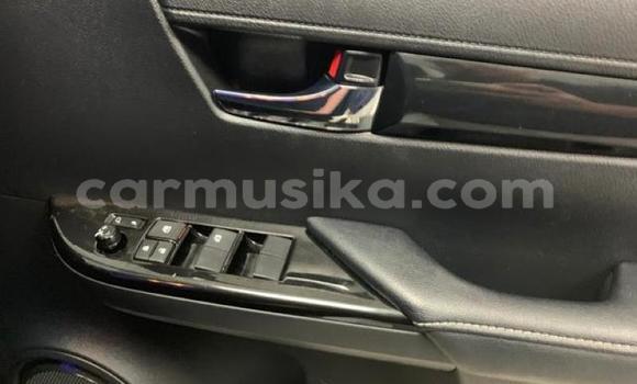 Tenga Tsaru Toyota Hilux Chena Mota in Beitbridge in Matabeleland South Tenga Tsaru Toyota Hilux Chena Mota in Beitbridge in Matabeleland South