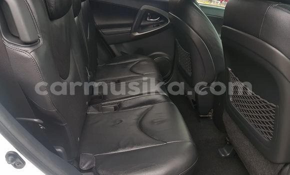 Buy Used Toyota RAV4 White Car in Beitbridge in Matabeleland South Buy Used Toyota RAV4 White Car in Beitbridge in Matabeleland South