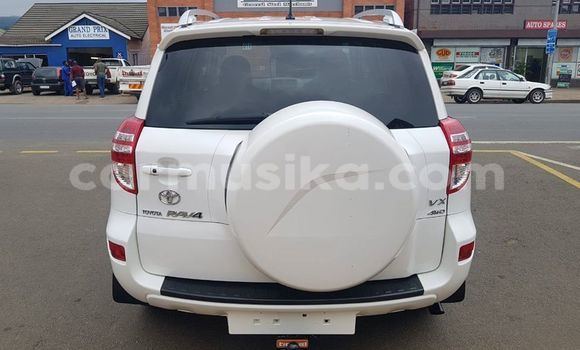 Buy Used Toyota RAV4 White Car in Beitbridge in Matabeleland South Buy Used Toyota RAV4 White Car in Beitbridge in Matabeleland South