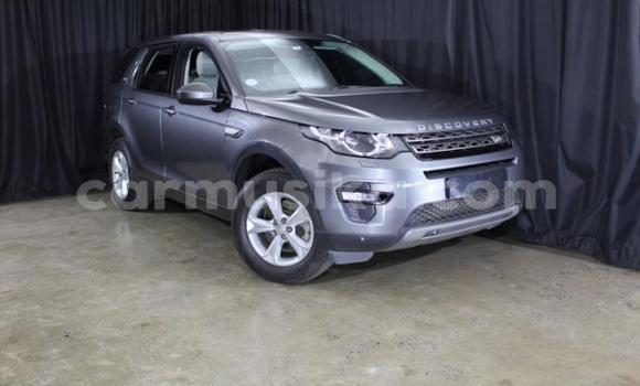 Tenga Tsaru Land Rover Discovery Sport Zvimwe Mota in Harare in Harare Tenga Tsaru Land Rover Discovery Sport Zvimwe Mota in Harare in Harare