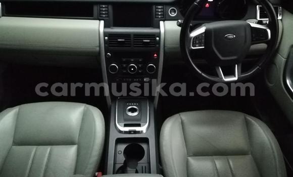 Tenga Tsaru Land Rover Discovery Sport Zvimwe Mota in Harare in Harare Tenga Tsaru Land Rover Discovery Sport Zvimwe Mota in Harare in Harare