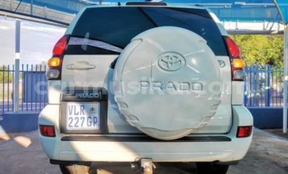 Nunua Ilio tumika Toyota Prado Nyeupe Gari ndani ya Beitbridge nchini Matabeleland Kusini Nunua Ilio tumika Toyota Prado Nyeupe Gari ndani ya Beitbridge nchini Matabeleland Kusini