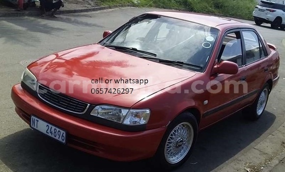 Buy Used Toyota Corolla Red Car in Beitbridge in Matabeleland South