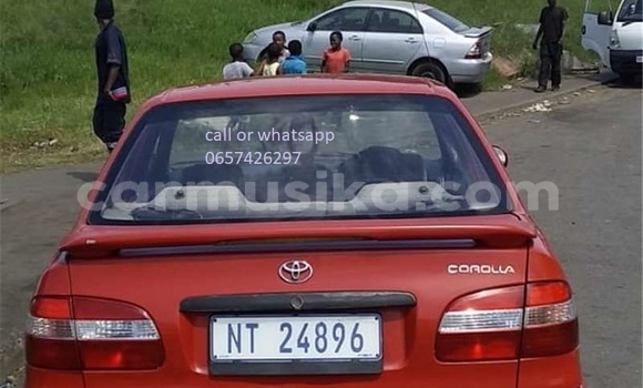 Nunua Ilio tumika Toyota Corolla Nyekundu Gari ndani ya Beitbridge nchini Matabeleland Kusini Nunua Ilio tumika Toyota Corolla Nyekundu Gari ndani ya Beitbridge nchini Matabeleland Kusini