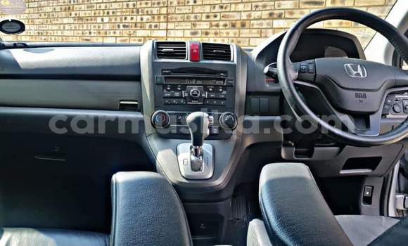 Buy Used Honda CR–V Silver Car in Beitbridge in Matabeleland South Buy Used Honda CR–V Silver Car in Beitbridge in Matabeleland South