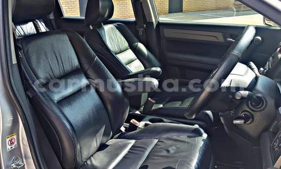 Buy Used Honda CR–V Silver Car in Beitbridge in Matabeleland South Buy Used Honda CR–V Silver Car in Beitbridge in Matabeleland South
