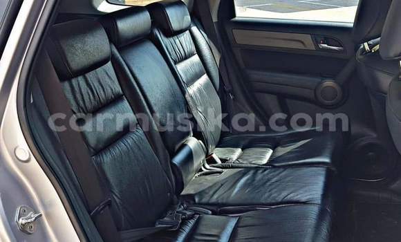 Buy Used Honda CR–V Silver Car in Beitbridge in Matabeleland South Buy Used Honda CR–V Silver Car in Beitbridge in Matabeleland South