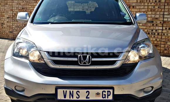 Buy Used Honda CR–V Silver Car in Beitbridge in Matabeleland South Buy Used Honda CR–V Silver Car in Beitbridge in Matabeleland South