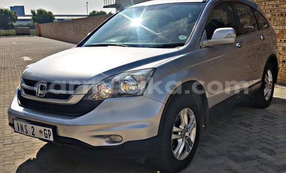 Buy Used Honda CR–V Silver Car in Beitbridge in Matabeleland South Buy Used Honda CR–V Silver Car in Beitbridge in Matabeleland South
