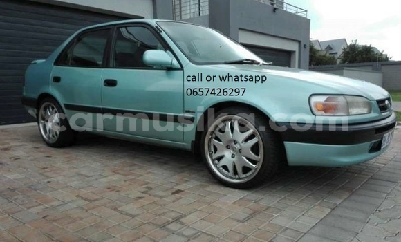 Buy Used Toyota Corolla Blue Car in Beitbridge in Matabeleland South