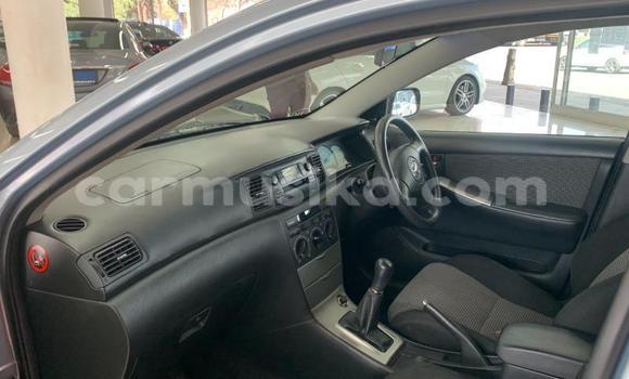 Buy Used Toyota Runx Silver Car in Beitbridge in Matabeleland South Buy Used Toyota Runx Silver Car in Beitbridge in Matabeleland South