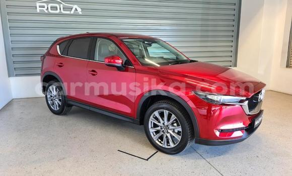 Tenga Tsaru Mazda CX-5 Tsvuku Mota in Beitbridge in Matabeleland South Tenga Tsaru Mazda CX-5 Tsvuku Mota in Beitbridge in Matabeleland South