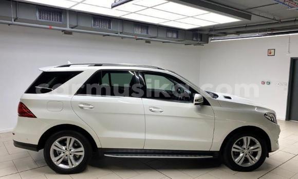 Tenga Tsaru Mercedes‒Benz AMG GLE Chena Mota in Beitbridge in Matabeleland South