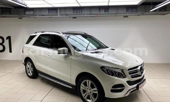 Buy Used Mercedes‒Benz AMG GLE White Car in Beitbridge in Matabeleland South Buy Used Mercedes‒Benz AMG GLE White Car in Beitbridge in Matabeleland South