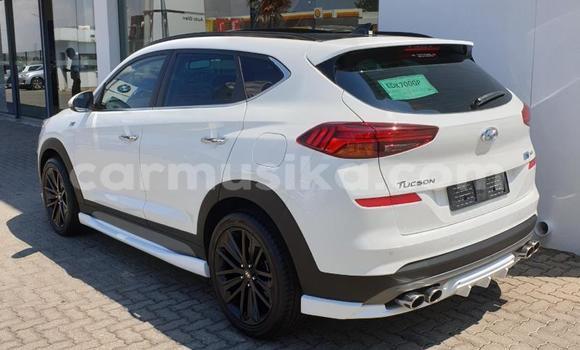 Buy Used Hyundai Tucson White Car in Beitbridge in Matabeleland South Buy Used Hyundai Tucson White Car in Beitbridge in Matabeleland South