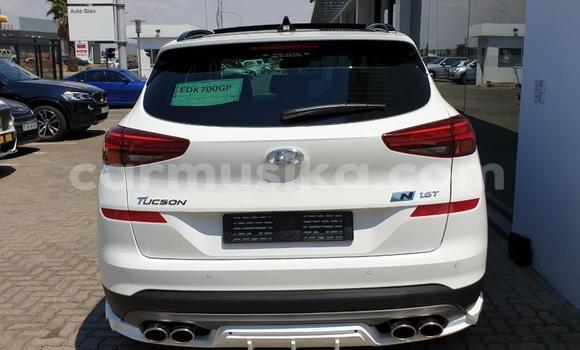 Buy Used Hyundai Tucson White Car in Beitbridge in Matabeleland South Buy Used Hyundai Tucson White Car in Beitbridge in Matabeleland South