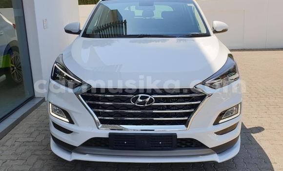 Buy Used Hyundai Tucson White Car in Beitbridge in Matabeleland South Buy Used Hyundai Tucson White Car in Beitbridge in Matabeleland South