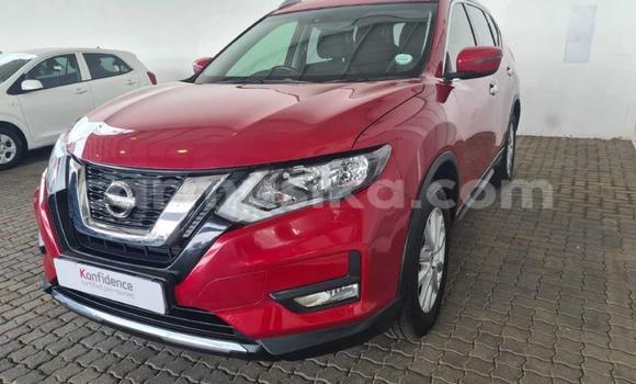 Buy Used Nissan X–Trail Red Car in Beitbridge in Matabeleland South Buy Used Nissan X–Trail Red Car in Beitbridge in Matabeleland South