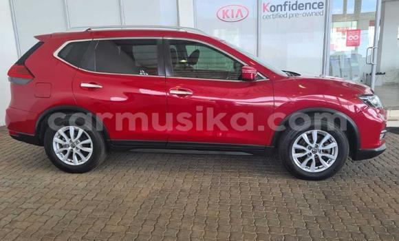 Buy Used Nissan X–Trail Red Car in Beitbridge in Matabeleland South Buy Used Nissan X–Trail Red Car in Beitbridge in Matabeleland South