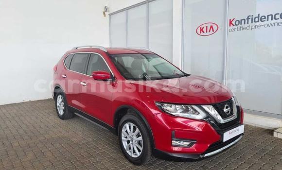 Buy Used Nissan X–Trail Red Car in Beitbridge in Matabeleland South Buy Used Nissan X–Trail Red Car in Beitbridge in Matabeleland South
