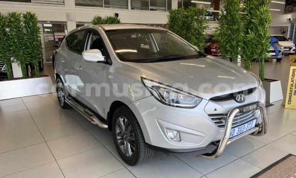 Tenga Tsaru Hyundai ix35 Sirivha Mota in Beitbridge in Matabeleland South Tenga Tsaru Hyundai ix35 Sirivha Mota in Beitbridge in Matabeleland South