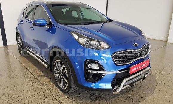 Tenga Tsaru Kia Sportage Bhuruu Mota in Beitbridge in Matabeleland South Tenga Tsaru Kia Sportage Bhuruu Mota in Beitbridge in Matabeleland South