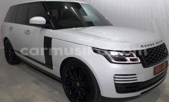 Buy Used Land Rover Range Rover White Car in Beitbridge in Matabeleland South Buy Used Land Rover Range Rover White Car in Beitbridge in Matabeleland South